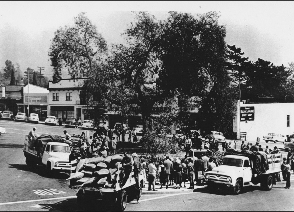 Invasion of the Body Snatchers (1956)