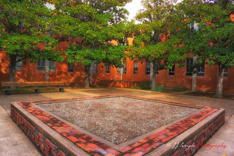 Chico Campus