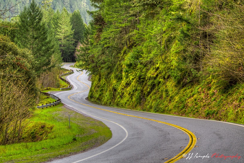 WindingRoad815